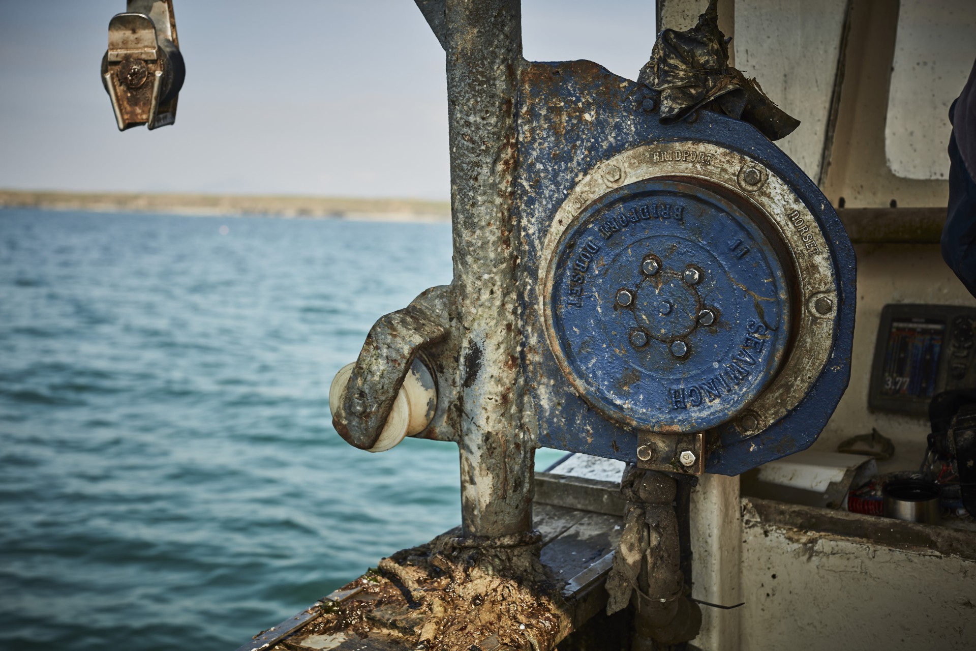Unknown live lobsters delivered in uk